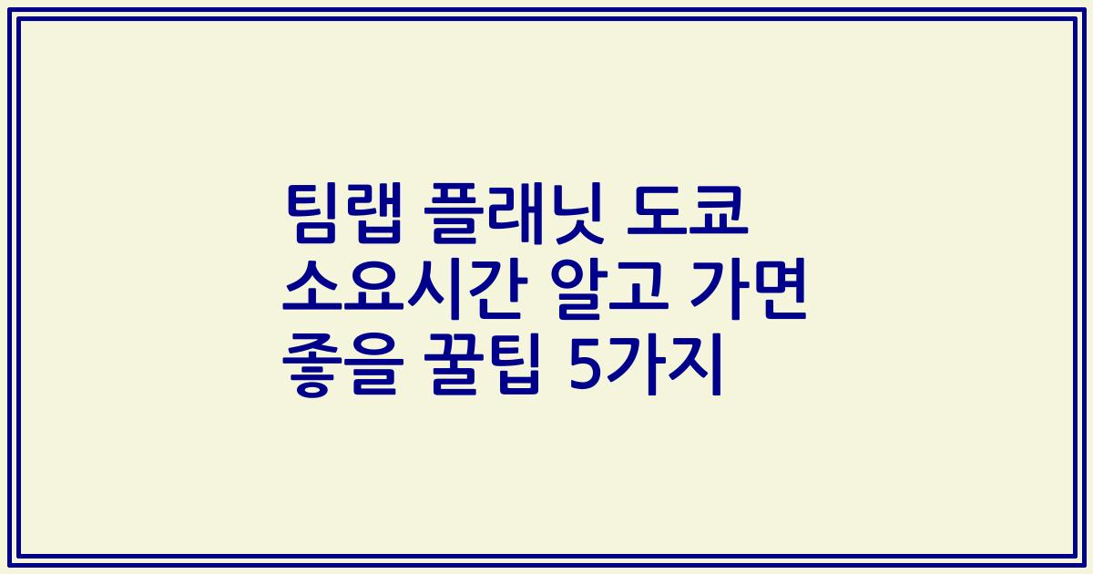 팀랩 플래닛 도쿄 소요시간 알고 가면 좋을 꿀팁 5가지