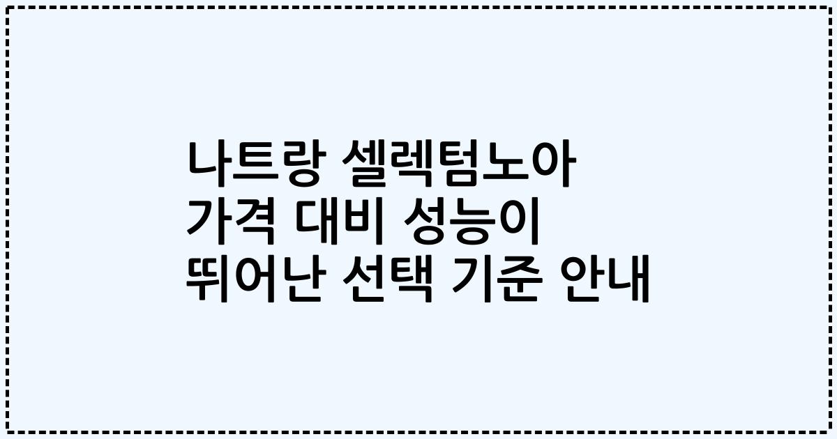 나트랑 셀렉텀노아 가격 대비 성능이 뛰어난 선택 기준 안내